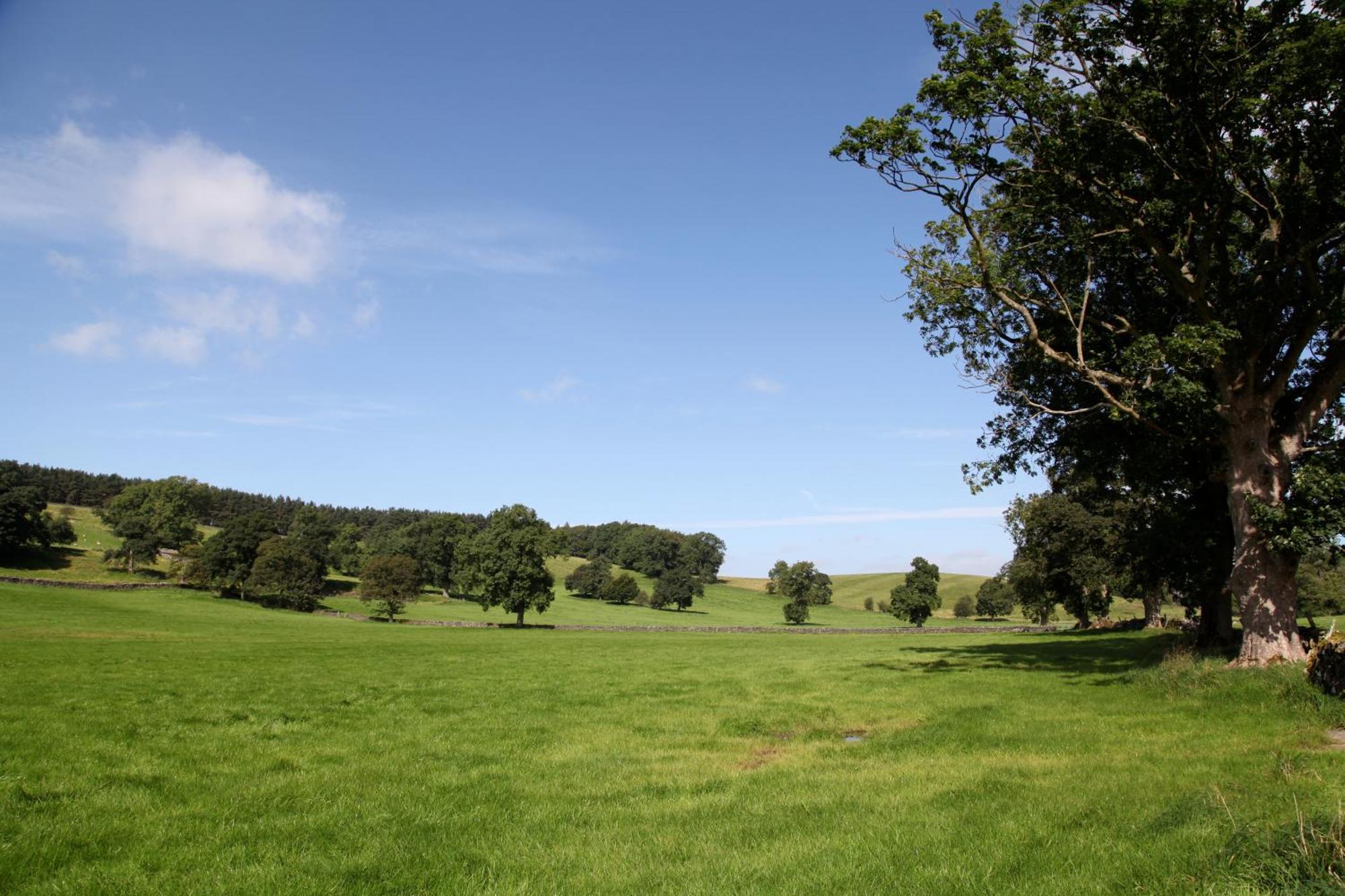 Green Grove Country House Malham Luaran gambar
